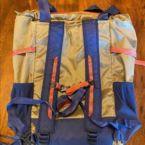 Patagonia travel tote